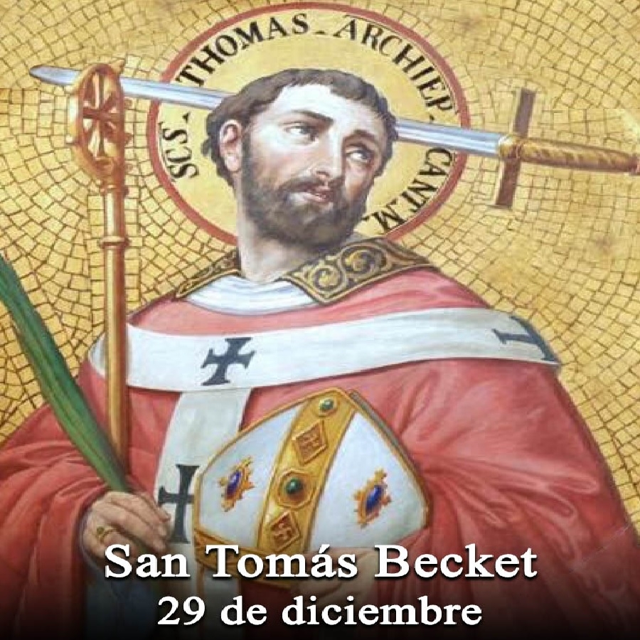berche.jpg