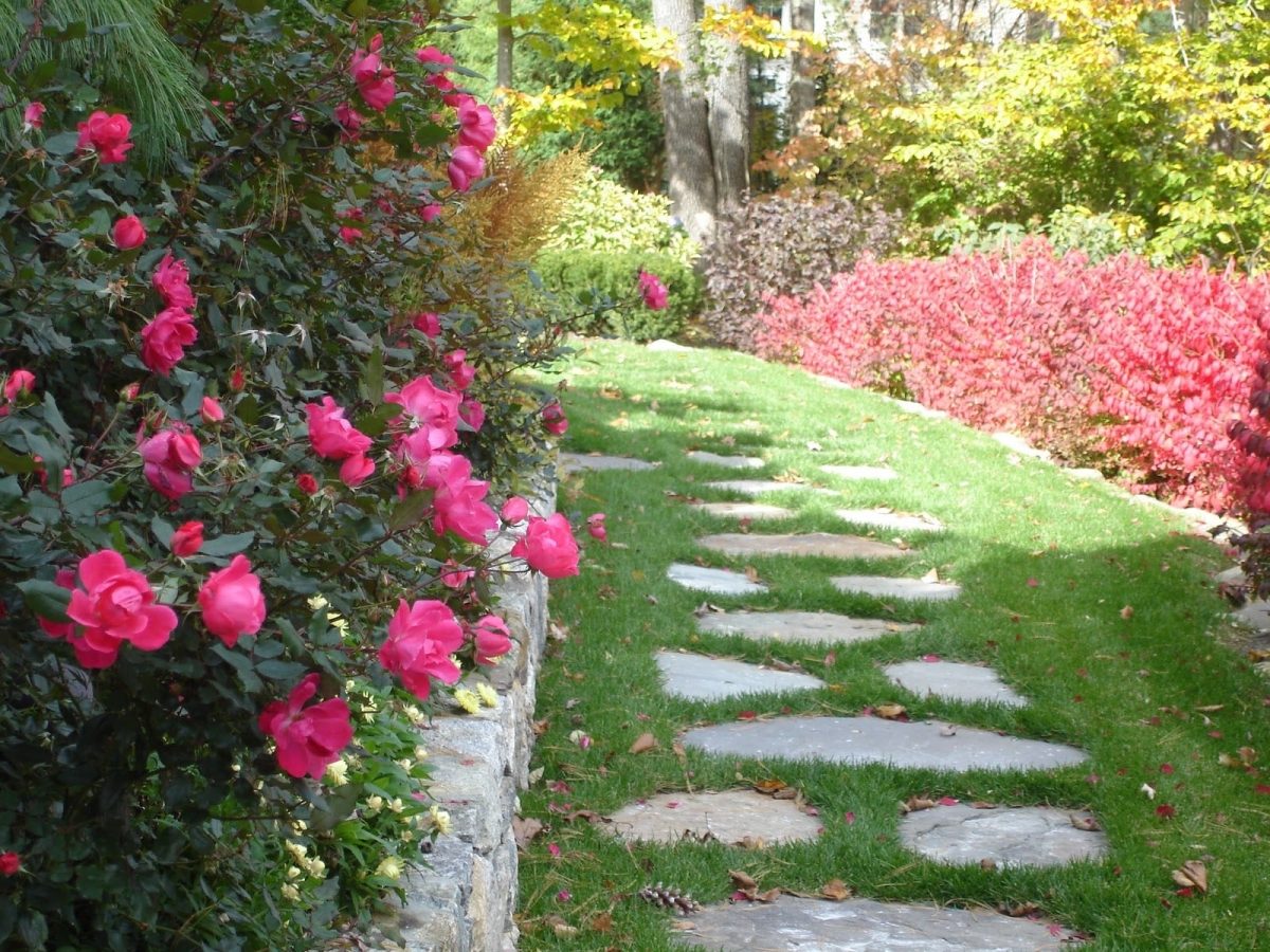 jardines.jpg