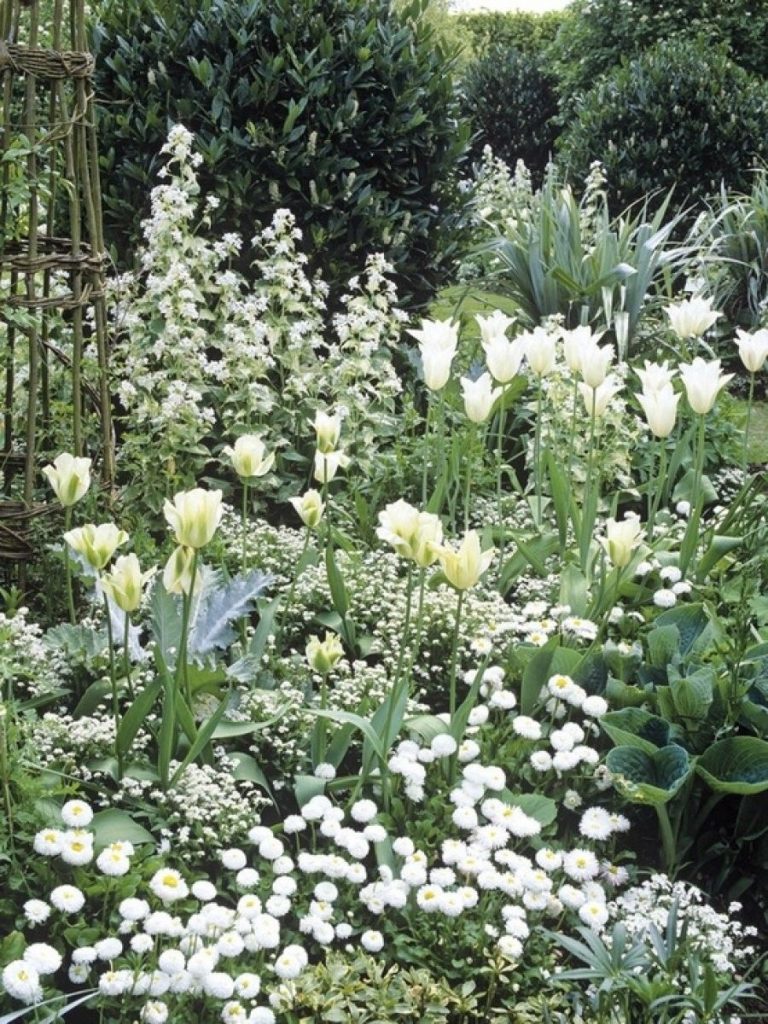 jardin.jpg
