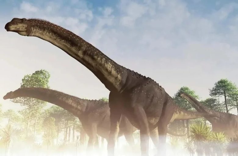 DINO.jpg
