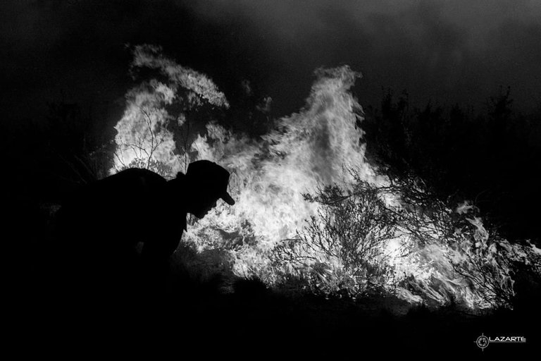 BOMBERITOS FALLECIDOS.jpg
