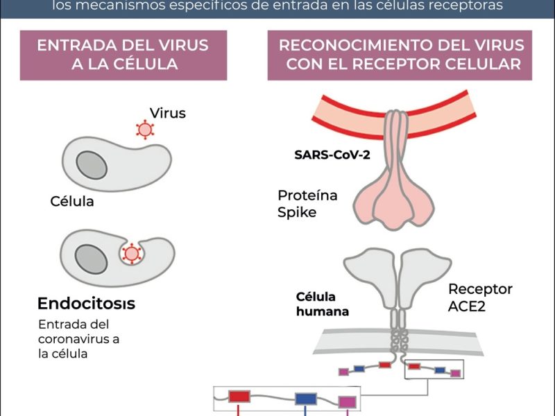 600ad25a2e2ab_1004x1106.jpg