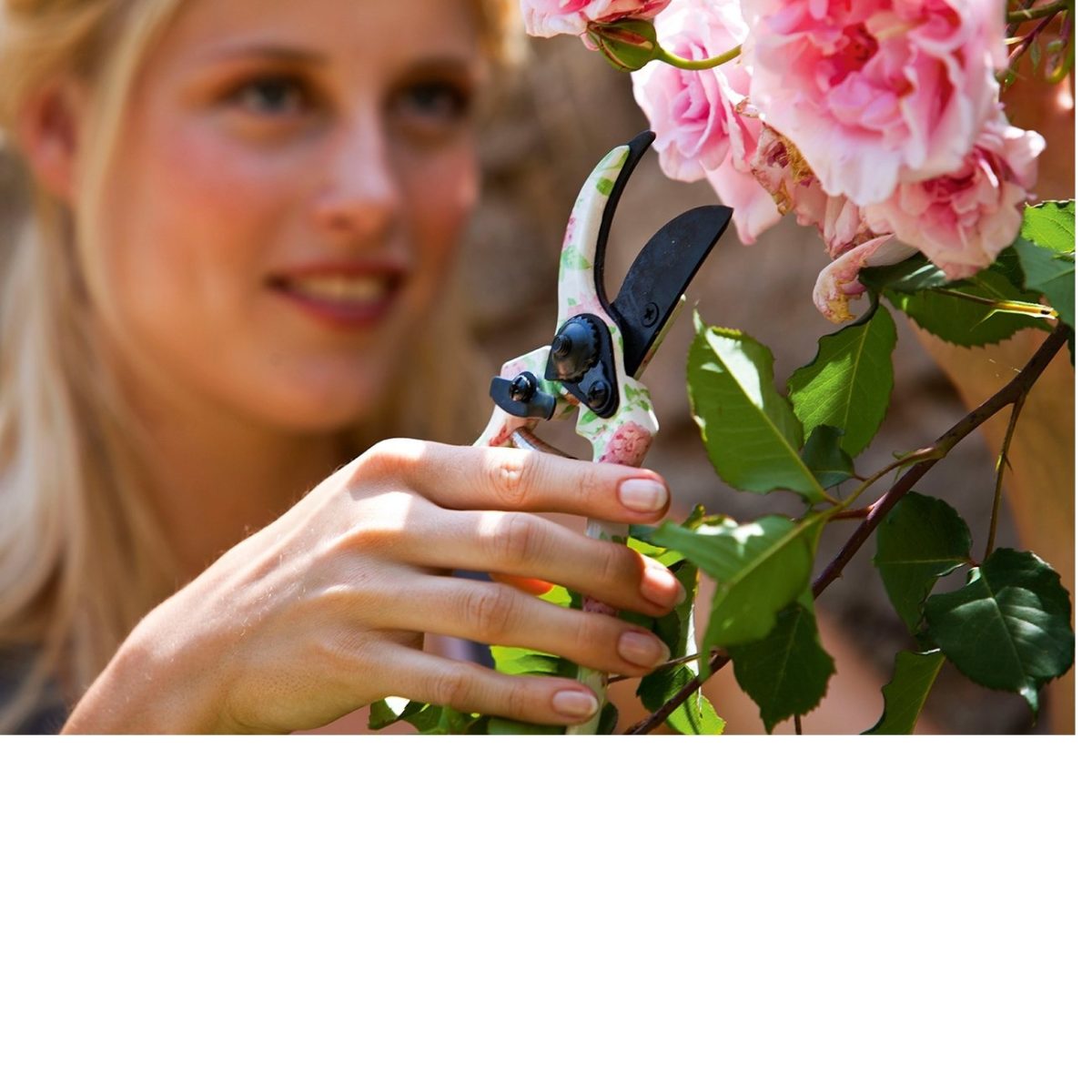 cortando flores.jpg