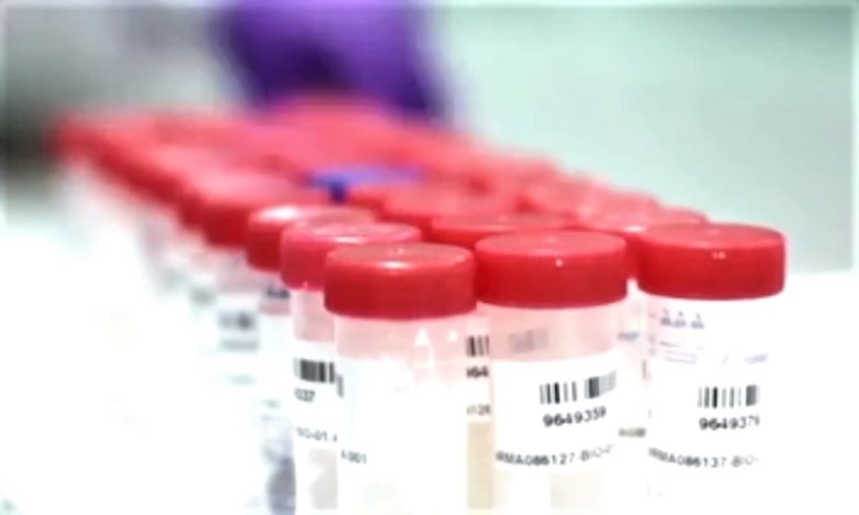 luchacontracoronavirus.jpg
