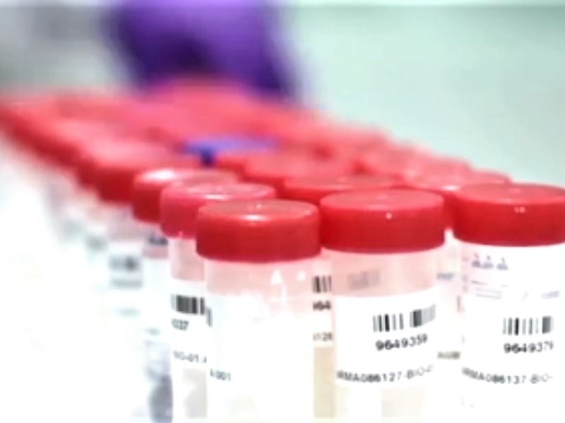 luchacontracoronavirus.jpg