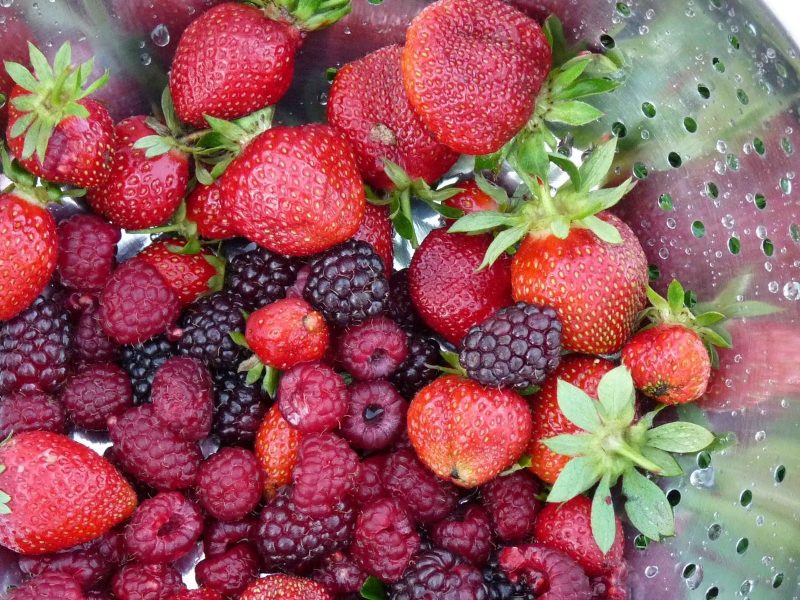 frutos.jpg