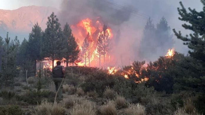 incendio-el-bolson-g20210126-1119555 (1).jpg