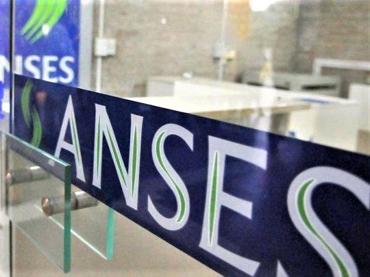anses1.jpg