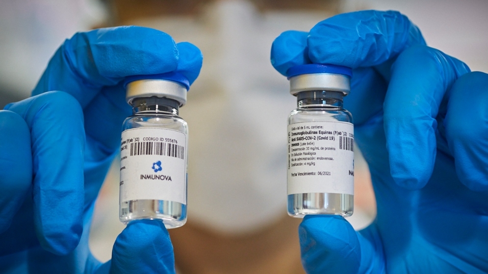 suero.jpg
