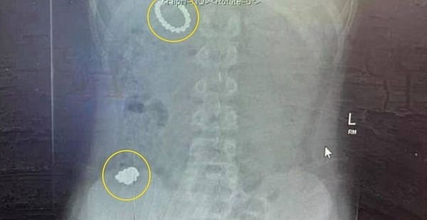 ASDSAD.jpg