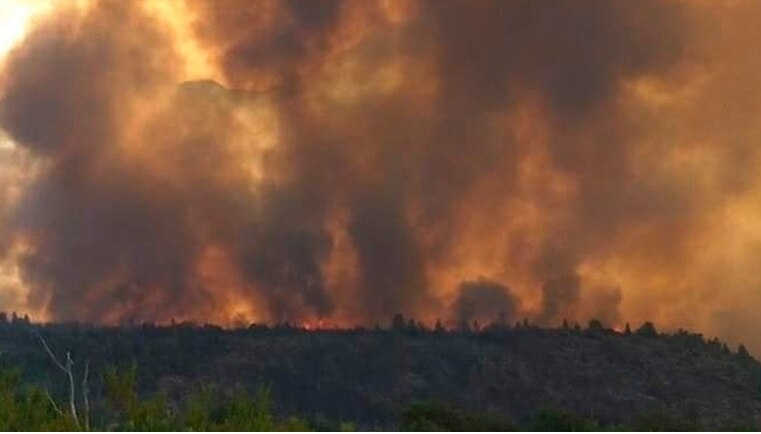 INCENDIOENELBOLSÓN.jpg