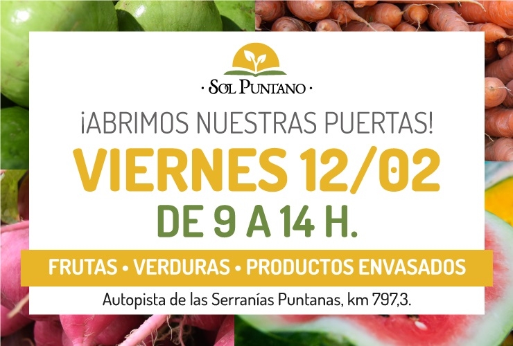 abrimos-nuestras-puertas-agencia-1.jpg