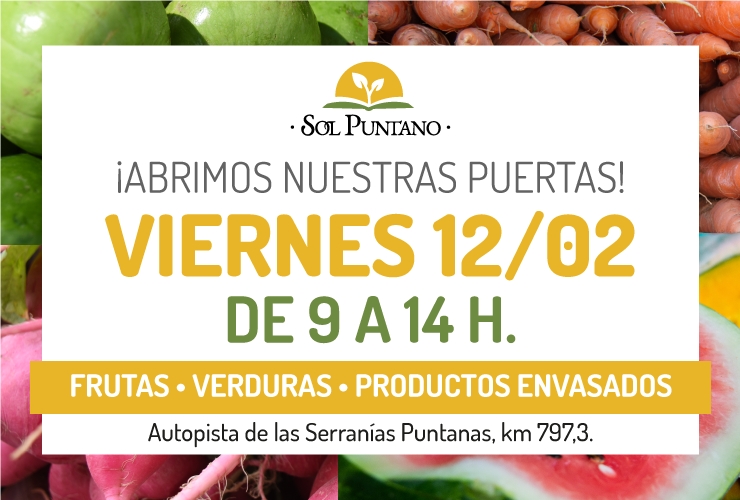 abrimos-nuestras-puertas-agencia-1.jpg