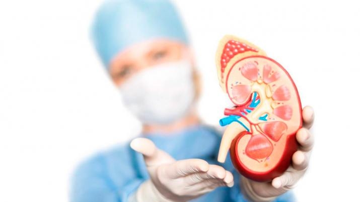 715x402_enfermedad-renal-374627-185522.jpg