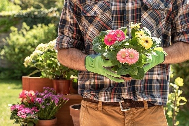 jardineria.jpg