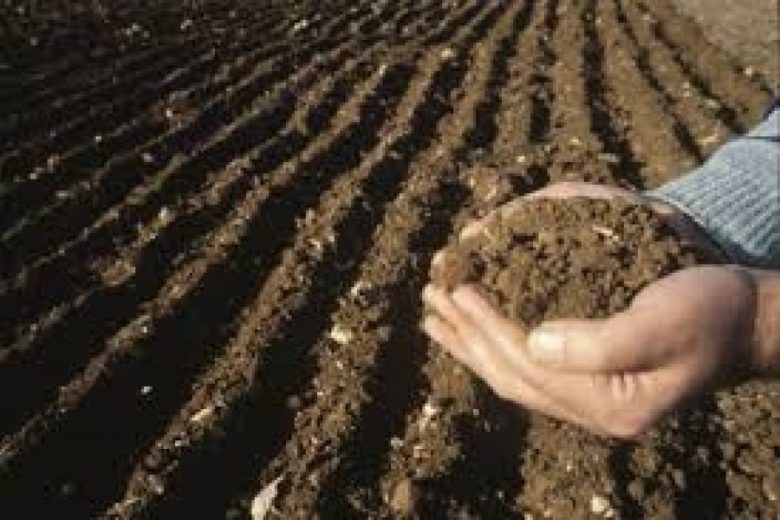 agrocampo.jpg