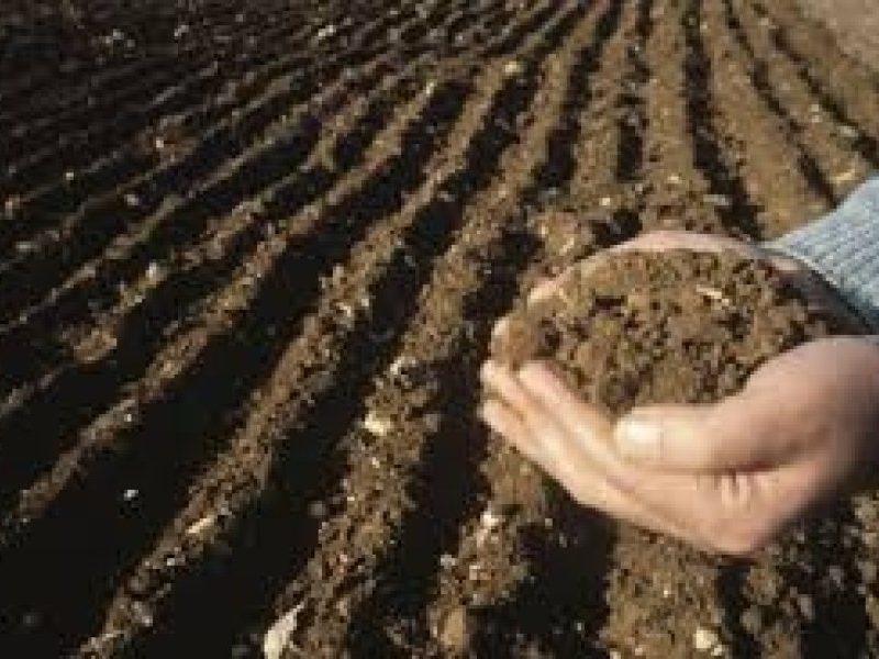 agrocampo.jpg