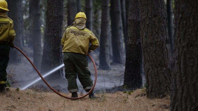 incendio sur.jpg