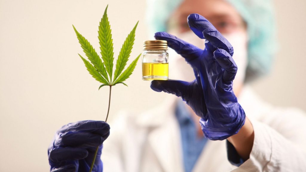 PARA-TI-CANNABIS-MEDICINAL-APERTURA-news-123RF.jpg