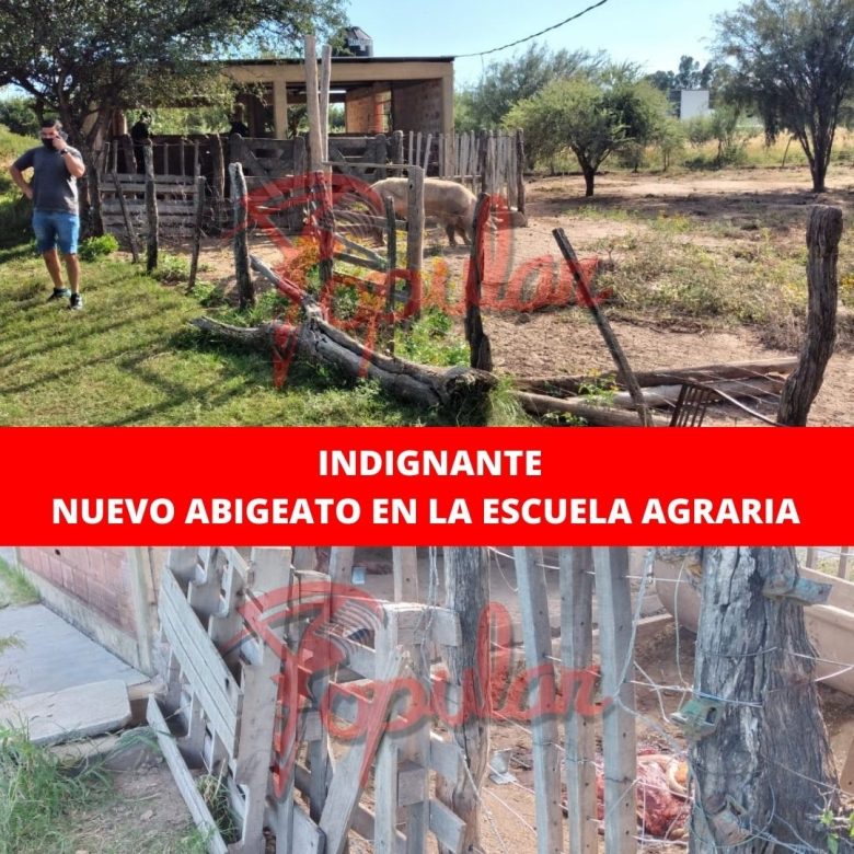 ABIHGEATO.jpg