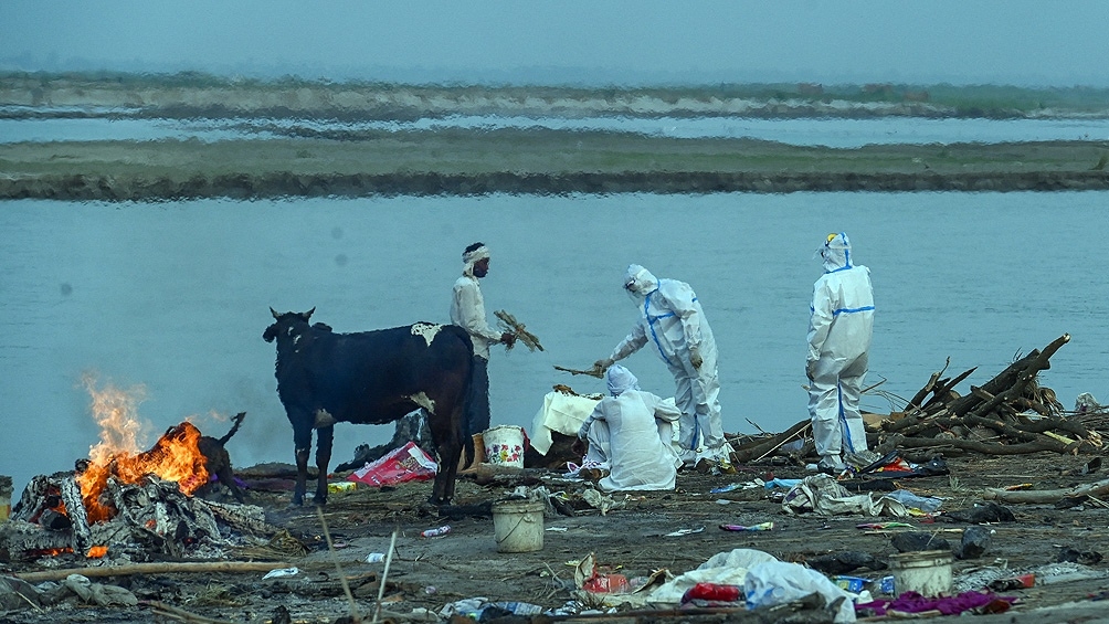 india ok.jpg