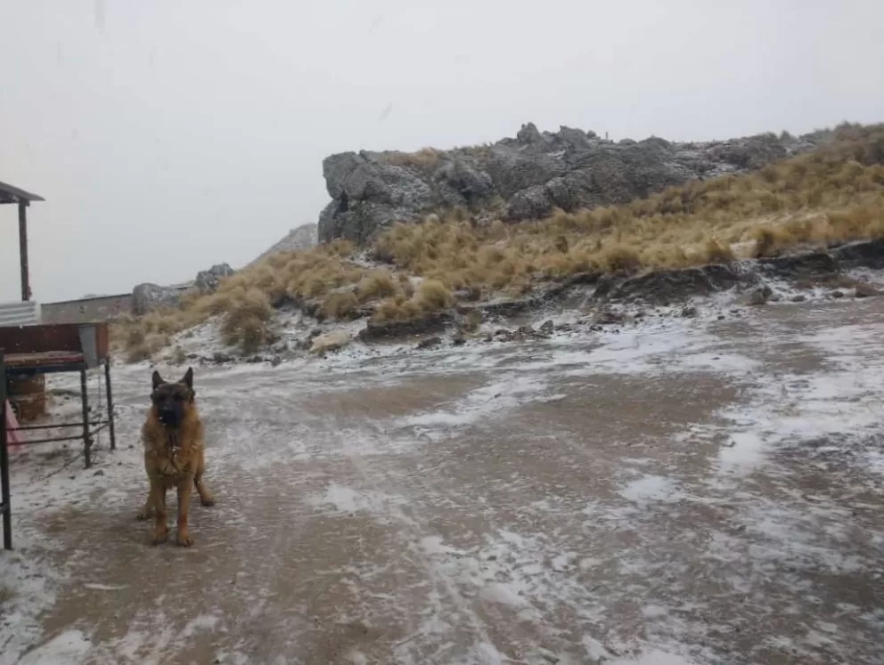 NIEVE.JPG