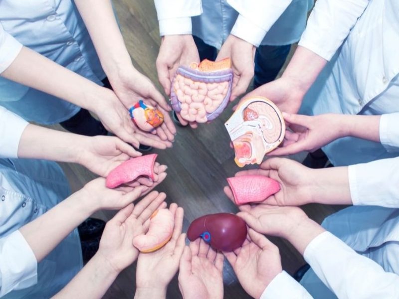 379561_donacion.jpg