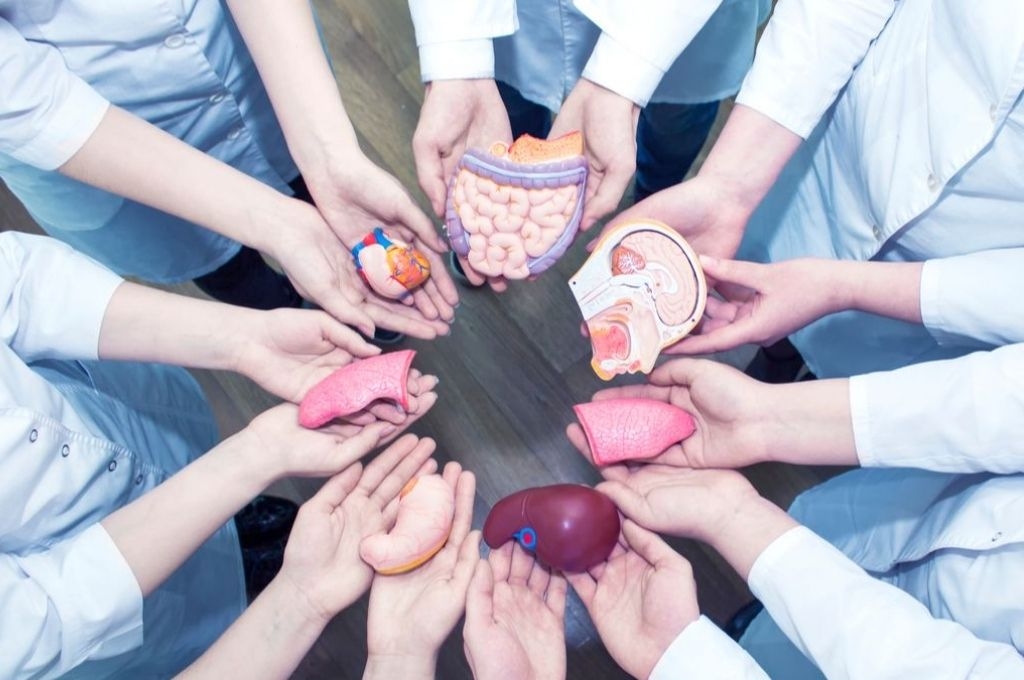 379561_donacion.jpg