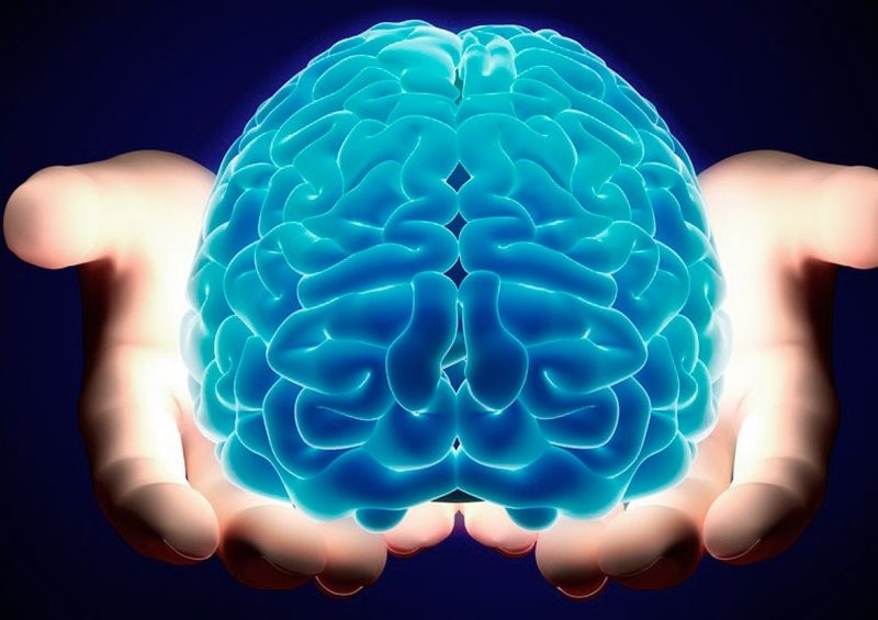cerebro.jpg