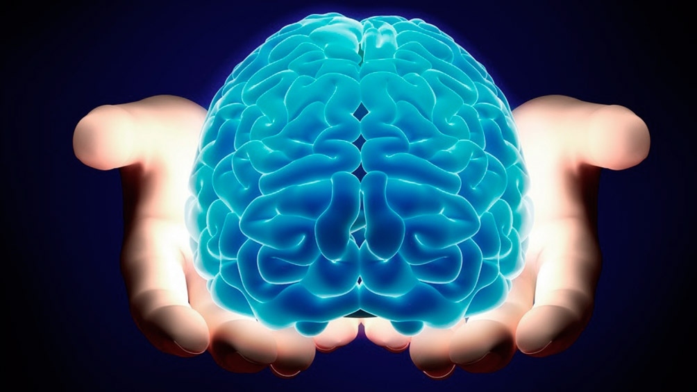 cerebro.jpg