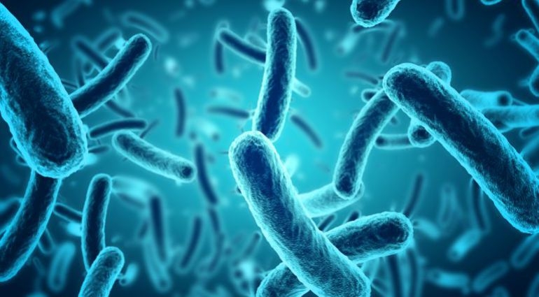alertan-superbacterias-en-argentina-por-mal-uso-antibioticos.jpg