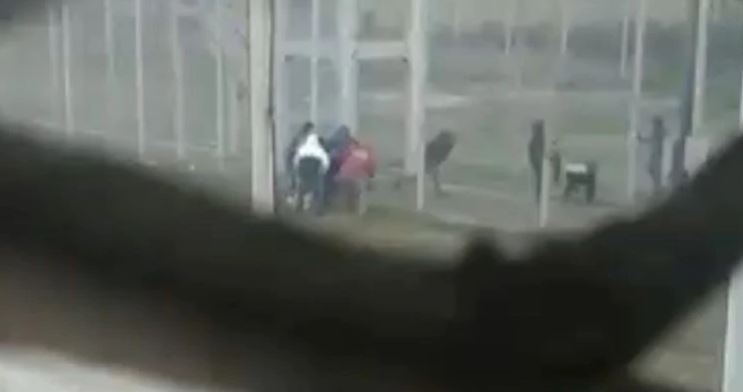 presps.JPG