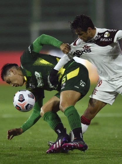 defensa_416x555.jpg