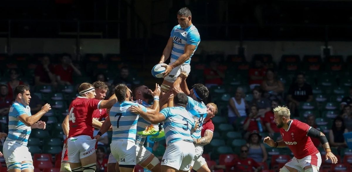 pumas.jpg