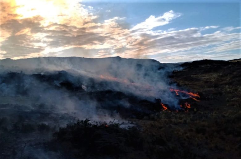 incendio.jpg