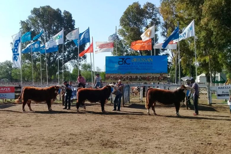 Exposicion-Rural-SRSL-2.jpg