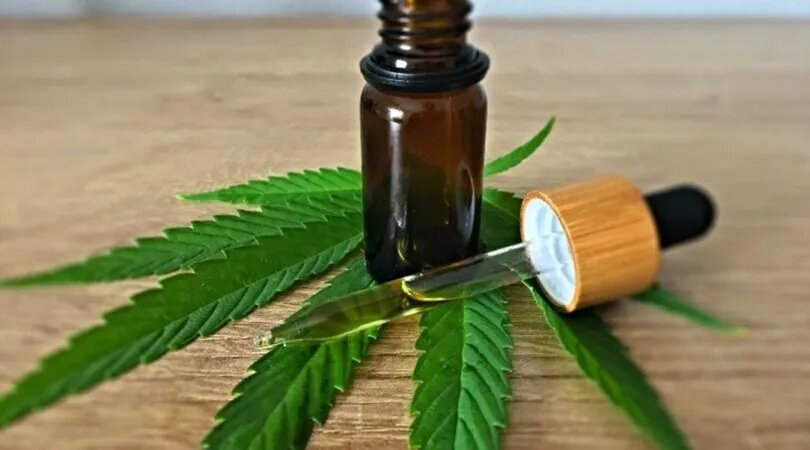 cannabis_1.jpg_1956802537.jpg
