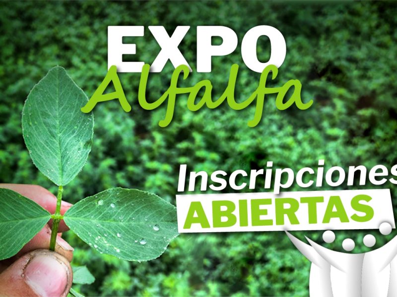portada-expoalfalfa-1 (1).jpg