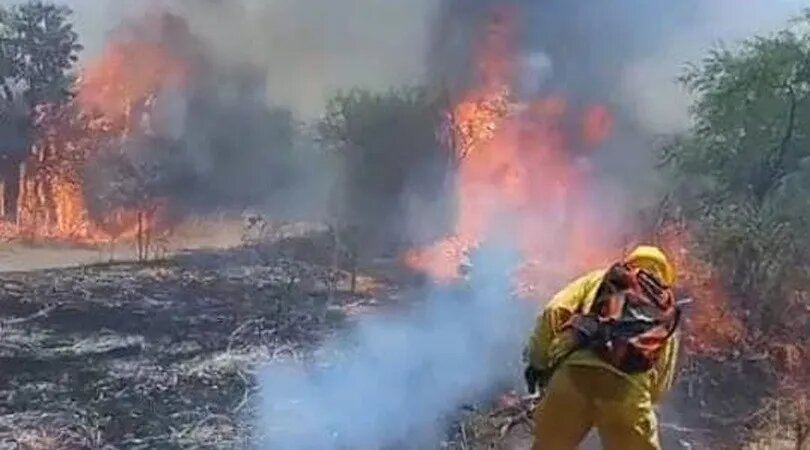 incendios_1.jpg_1956802537.jpg