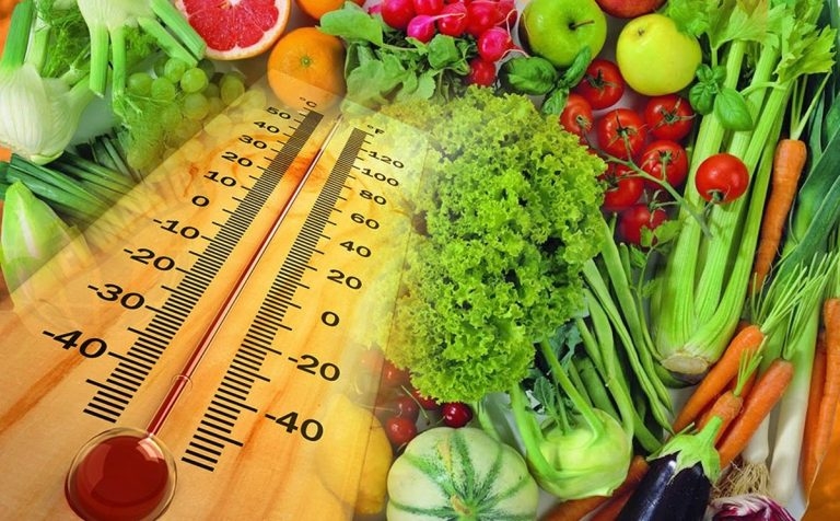 como-cuidar-alimentos-en-olas-de-calor-5-768x476.jpg