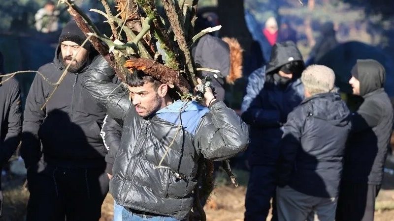 2021-11-09t121720z_727429086_rc2yqq9iyu8g_rtrmadp_3_europe-migrants-belarus-poland-border_1.jpg_1956802537.jpg