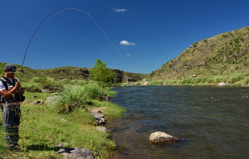 3a.jpg
