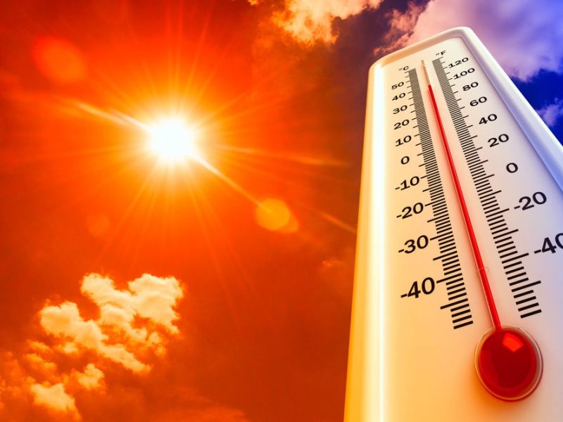 CALOR.JPG