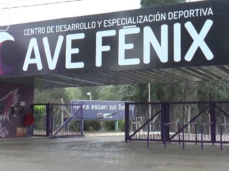 ave fenix.jpg