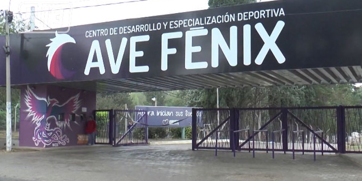 ave fenix.jpg