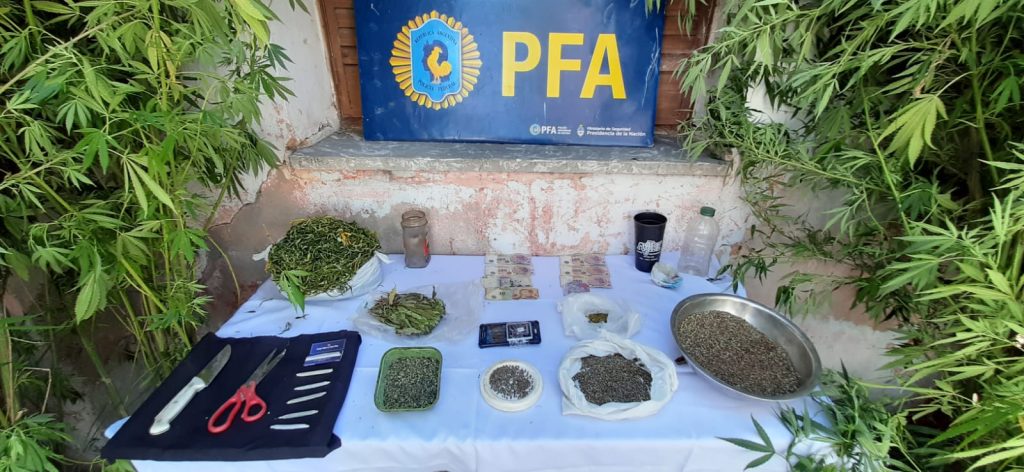 da07f916-8f07-4f2a-964e-a4de08bb753b.jpeg