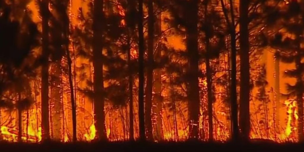 incendios-en-corrientes-ultimas-noticias-y-pronostico-de-lluvias-fuego-ibera-hectareas-1645348554647_768.jpg