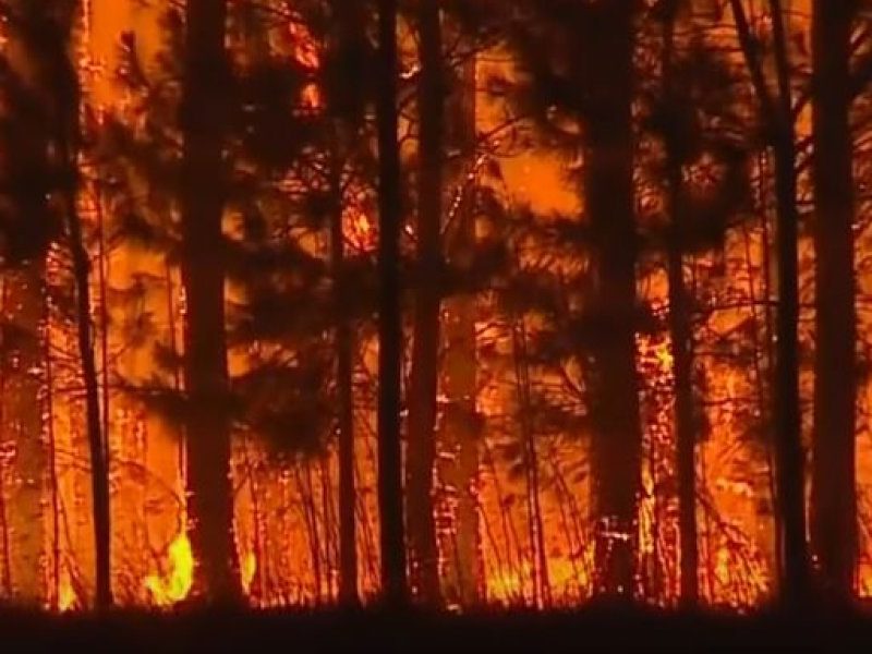 incendios-en-corrientes-ultimas-noticias-y-pronostico-de-lluvias-fuego-ibera-hectareas-1645348554647_768.jpg