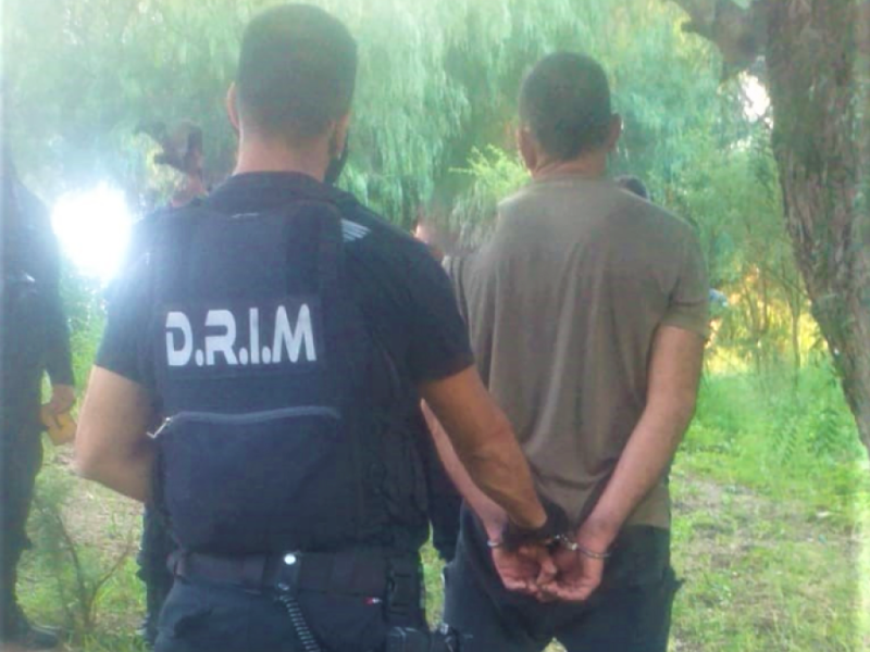 drim.jpg
