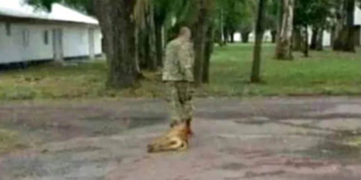 maltrato-animal-olavarria.jpg
